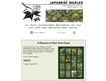 Tablet Screenshot of japanesemaples.com